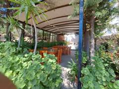 bozcaada zeytin suit pansiyon