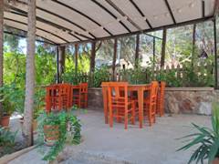 bozcaada zeytin suit pansiyon