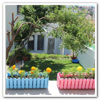 deniz yıldızı otel